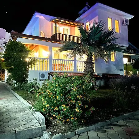 Willow Tree C 3 Nelson