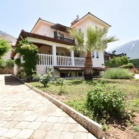 Willow Tree C 3 Nelson Fethiye